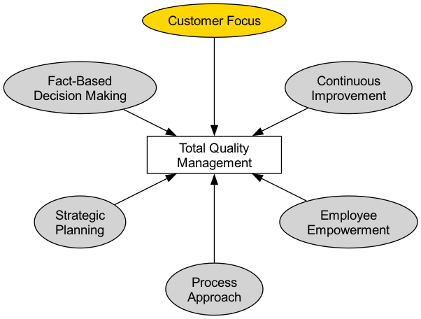 Core Principles of Total Quality Management (TQM)